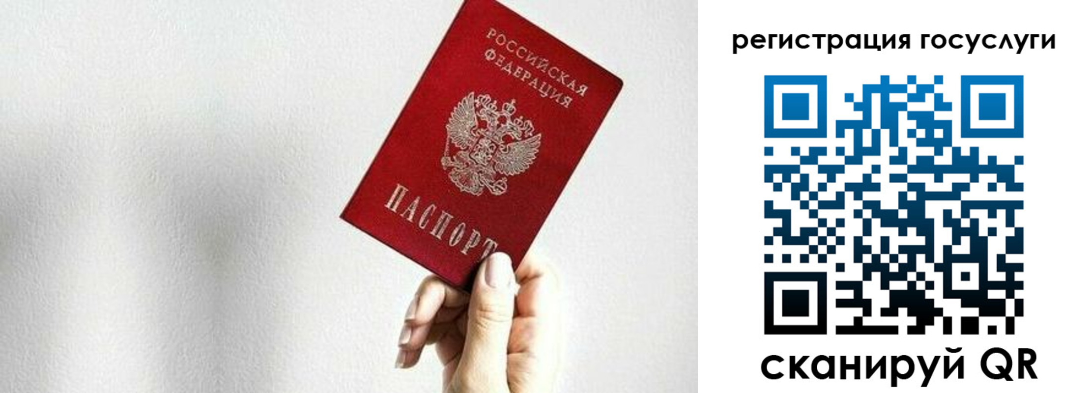 прописка гарантия в Краснодарском крае